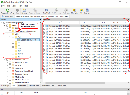 Files and folders from the deleted disk with fully recovered folder structure