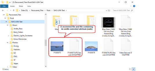 Recovered files