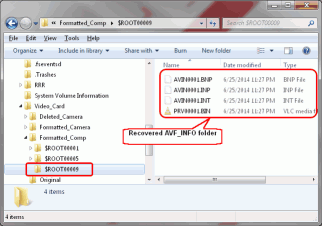 HD Video Recovery from SD cards: Video Recovery: Recovered AVCHD Folders and Files