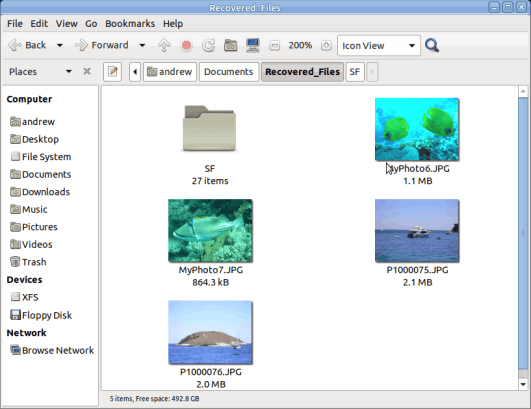 The Output folder with recovered files and folders